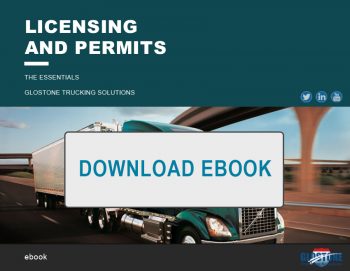 ebook licensing and permits download
