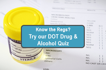 dot drug and alcohol regulations quiz