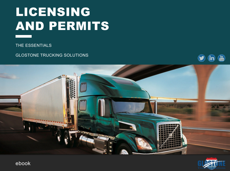Licensing and Permits - The Essentials ebook