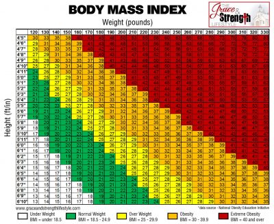Recommended Bmi Chart